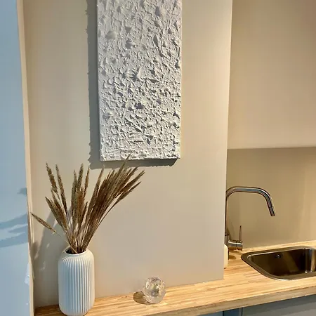 Dabintos Sunny Arch Apartament Druskieniki